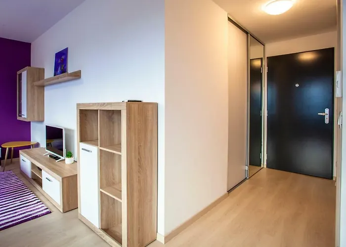 Air-conditioned View 24h Check-in Appartement