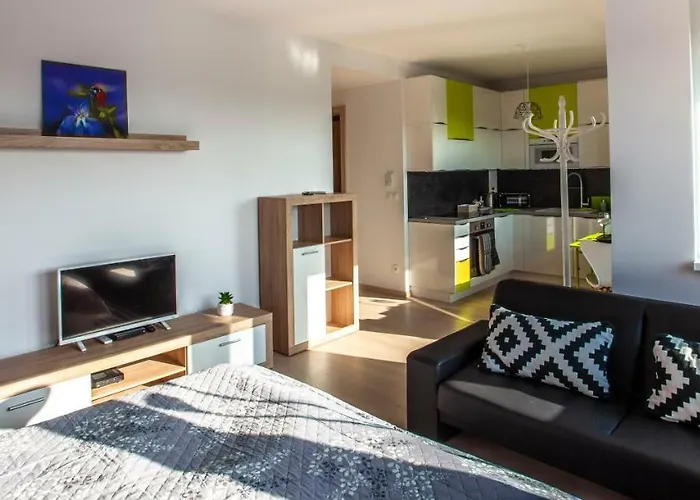 Air-conditioned View 24h Check-in Appartement