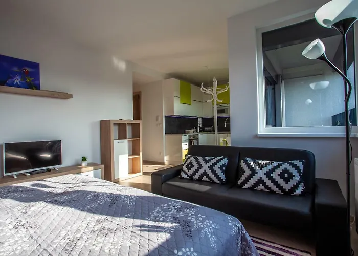 Air-conditioned View 24h Check-in Apartament *